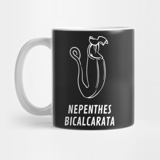 Carnivorous Pitcher Plant Gift Nepenthes Bicalcarata Mug